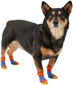 Frisco Non-Skid Colorblock Dog Socks -FRISCO Sales 272481 PT2. SY630 V1634829858