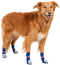 Frisco Non-Skid Navy Dog Socks, Red & White Stripe -FRISCO Sales 272499 PT2. SY630 V1634829432