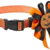Frisco Orange Glitter Dog Collar with Pumpkin Ribbon -FRISCO Sales 272844 MAIN. SY630 V1624047756