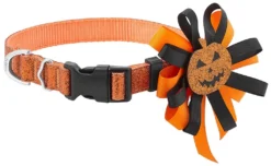 Frisco Orange Glitter Dog Collar with Pumpkin Ribbon