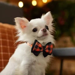 Frisco Halloween Plaid Dog Collar with Bow -FRISCO Sales 272857 PT8. SY630 V1623879164