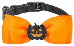 Frisco Black Glitter Cat collar with Pumpkin Bow