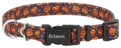 Frisco Spooky Pumpkin Dog Collar