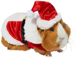 Frisco Santa Claus Guinea Pig Costume, One Size