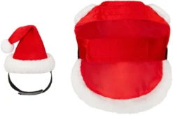 Frisco Santa Claus Guinea Pig Costume, One Size -FRISCO Sales 276178 PT5. SY630 V1631303129
