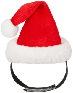 Frisco Santa Claus Guinea Pig Costume, One Size -FRISCO Sales 276178 PT6. SY630 V1631303528