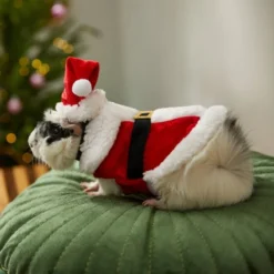 Frisco Santa Claus Guinea Pig Costume, One Size -FRISCO Sales 276178 PT8. SY630 V1631302737