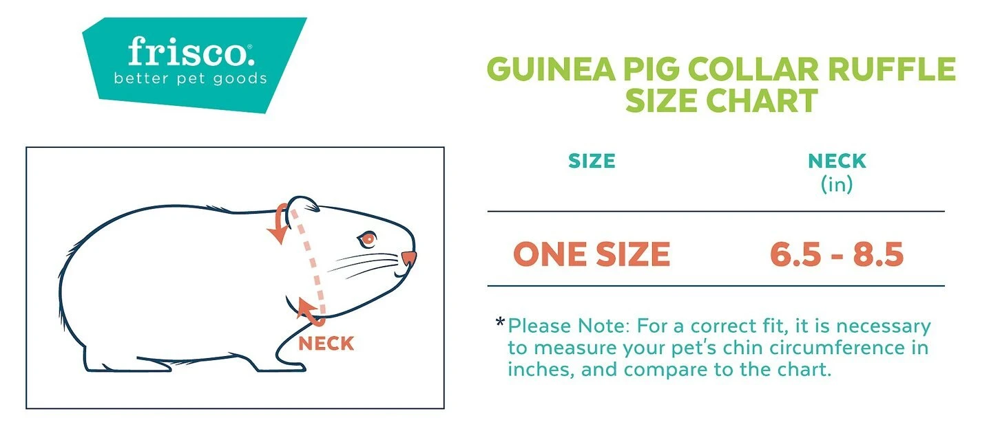 Frisco Red Plaid Guinea Pig Ruffle Collar with Pom Poms, One Size 4 Frisco Red Plaid Guinea Pig Ruffle Collar with Pom Poms, One Size - Image 2