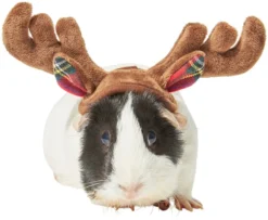 Frisco Holiday Antlers Guinea Pig Headpiece