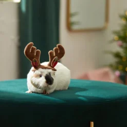 Frisco Holiday Antlers Guinea Pig Headpiece -FRISCO Sales 276182 PT8. SY630 V1631303001