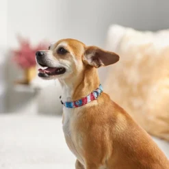 Frisco Blue Tye Dye Dog Collar 9 Frisco Blue Tye Dye Dog Collar -FRISCO Sales 276625 PT3. SY630 V1623766221