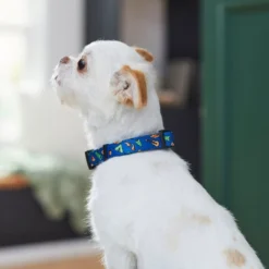 Frisco Camping Fun Dog Collar -FRISCO Sales 276637 PT3. SY630 V1623766574