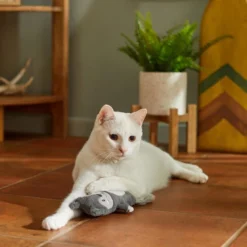 Frisco Camping Squirrel Kicker Cat Toy with Catnip 7 Frisco Camping Squirrel Kicker Cat Toy with Catnip -FRISCO Sales 276760 PT3. SY630 V1625009108