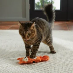 Frisco Camping Fox Kicker Cat Toy with Catnip -FRISCO Sales 276764 PT3. SY630 V1625009077