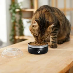 Frisco Travel Non-skid Stainless Steel Dog & Cat Bowl -FRISCO Sales 277499 PT3. SY630 V1630348135