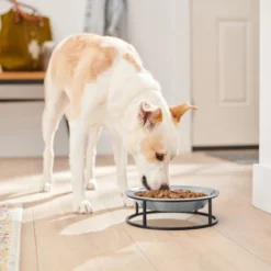 Frisco Elevated Non-skid Stainless Steel Dog & Cat Bowl 10 Frisco Elevated Non-skid Stainless Steel Dog & Cat Bowl -FRISCO Sales 277536 PT2. SY630 V1630346679