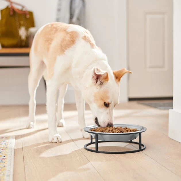 Frisco Elevated Non-skid Stainless Steel Dog & Cat Bowl 5 Frisco Elevated Non-skid Stainless Steel Dog & Cat Bowl - Image 3