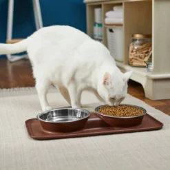 Frisco Double Stainless Steel Dog & Cat Bowl with Silicone Mat -FRISCO Sales 277551 PT3. SY630 V1630348104