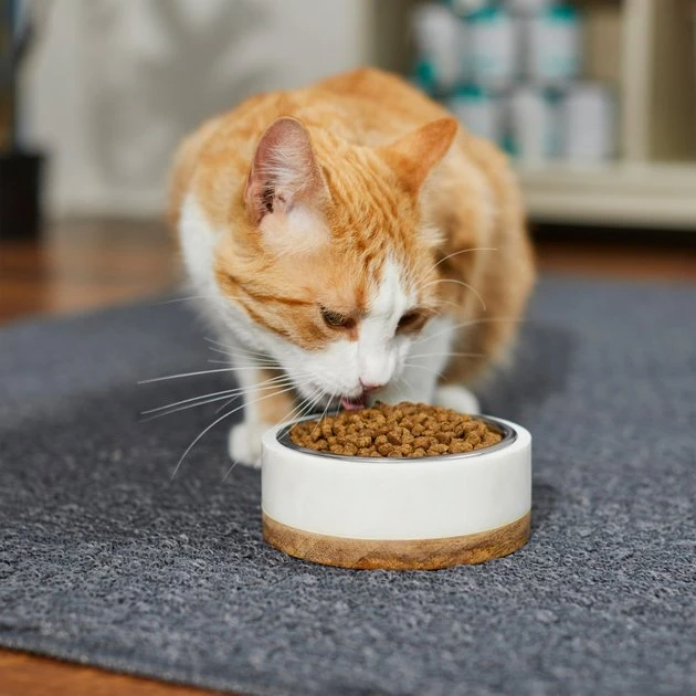 Frisco Marble Design Stainless Steel Dog & Cat Bowl with Wooden Base 6 Frisco Marble Design Stainless Steel Dog & Cat Bowl with Wooden Base - Image 4