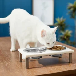Frisco Marble Stainless Steel Double Elevated Dog & Cat Bowls 11 Frisco Marble Stainless Steel Double Elevated Dog & Cat Bowls -FRISCO Sales 277558 PT3. SY630 V1630347840