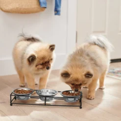 Frisco Straight Triple Feeder Stainless Steel Dog & Cat Bowl -FRISCO Sales 277568 PT2. SY630 V1630346795