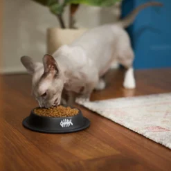 Frisco Fish Bone Print Non-Skid Stainless Steel Cat Bowl -FRISCO Sales 277582 PT3. SY630 V1630348120