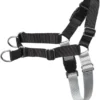 Frisco Basic No Pull Harness 1 Frisco Basic No Pull Harness -FRISCO Sales 277871 MAIN. SY630 V1629765595