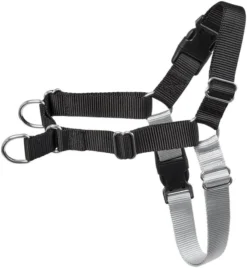 Frisco Basic No Pull Harness