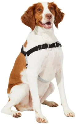 Frisco Basic No Pull Harness -FRISCO Sales 277871 PT3. SY630 V1629755870