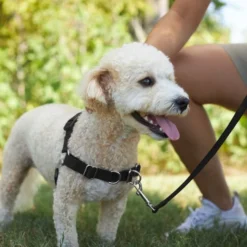 Frisco Basic No Pull Harness -FRISCO Sales 277871 PT4. SY630 V1629816973