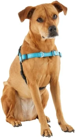 Frisco Padded Reflective No Pull Harness 10 Frisco Padded Reflective No Pull Harness -FRISCO Sales 277892 PT3. SY630 V1629758833