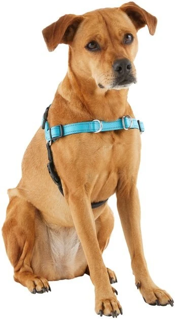 Frisco Padded Reflective No Pull Harness 6 Frisco Padded Reflective No Pull Harness - Image 4