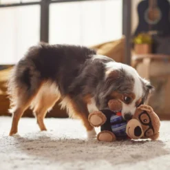 Frisco Bear Plush Squeaky Dog Toy -FRISCO Sales 279433 PT3. SY630 V1628191002