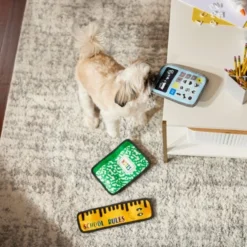 Frisco Essentials Flat Plush Squeaky Dog Toy, 3 count 7 Frisco Essentials Flat Plush Squeaky Dog Toy, 3 count -FRISCO Sales 279441 PT3. SY630 V1628191301