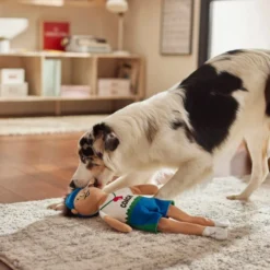 Frisco Gym Teacher Plush Squeaky Dog Toy -FRISCO Sales 279447 PT3. SY630 V1628191161