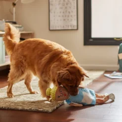 Frisco School Lunch Lady Plush Squeaky Dog Toy -FRISCO Sales 279449 PT3. SY630 V1628191320