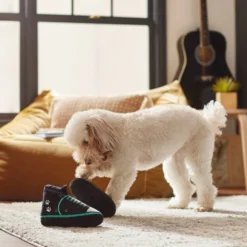 Frisco Sneakers Plush Squeaky Dog Toy, 2 count -FRISCO Sales 279453 PT3. SY630 V1628191213