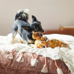 Frisco Kangaroo & Joey Plush Squeaky Dog Toy, 2 count 7 Frisco Kangaroo & Joey Plush Squeaky Dog Toy, 2 count -FRISCO Sales 285601 PT3. SY630 V1629725095