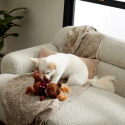 Frisco Hipster Moose Plush Squeaky Dog Toy -FRISCO Sales 285603 PT3. SY630 V1629725389