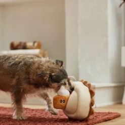 Frisco Grandma Sophie's Pumpkin Pie 2-in-1 Plush Squeaky Dog Toy 9 Frisco Grandma Sophie's Pumpkin Pie 2-in-1 Plush Squeaky Dog Toy -FRISCO Sales 285607 PT3. SY630 V1629725085