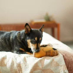 Frisco Boot Plush Squeaky Dog Toy -FRISCO Sales 285619 PT3. SY630 V1629724969