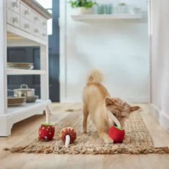 Frisco Candy Apples Plush Squeaky Dog Toy, 3 count -FRISCO Sales 285621 PT3. SY630 V1629724890