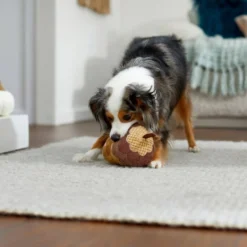 Frisco Fall Acorn Plush Squeaky Dog Toy -FRISCO Sales 285623 PT3. SY630 V1629725222