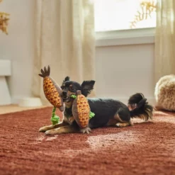 Frisco Fall Harvest Corn Plush with Rope Plush with Rope Squeaky Dog Toy 7 Frisco Fall Harvest Corn Plush with Rope Plush with Rope Squeaky Dog Toy -FRISCO Sales 285625 PT3. SY630 V1629725317