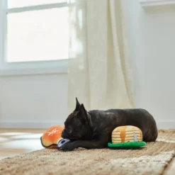 Frisco Pancakes & Maple Syrup Plush Squeaky Dog Toy, 2 count -FRISCO Sales 285627 PT3. SY630 V1629725170