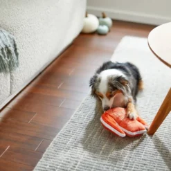 Frisco Sweater Weather Flat Plush Squeaky Dog Toy -FRISCO Sales 285635 PT3. SY630 V1629725212