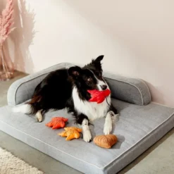 Frisco Fall Leaves Plush Squeaky Dog Toy, 4 count 7 Frisco Fall Leaves Plush Squeaky Dog Toy, 4 count -FRISCO Sales 285637 PT3. SY630 V1629725195