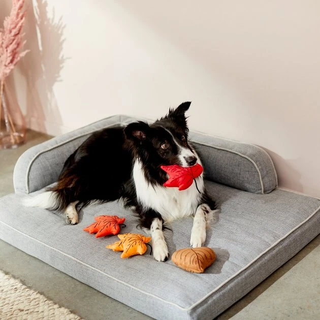 Frisco Fall Leaves Plush Squeaky Dog Toy, 4 count 5 Frisco Fall Leaves Plush Squeaky Dog Toy, 4 count - Image 3