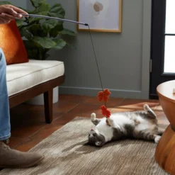 Frisco Fall Acorn & Leaves Teaser Cat Toy with Catnip 7 Frisco Fall Acorn & Leaves Teaser Cat Toy with Catnip -FRISCO Sales 285651 PT3. SY630 V1629725347