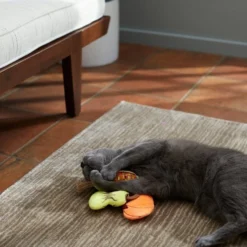 Frisco Fall Harvest Plush Cat Toy with Catnip, 3 count 7 Frisco Fall Harvest Plush Cat Toy with Catnip, 3 count -FRISCO Sales 285655 PT3. SY630 V1629725260